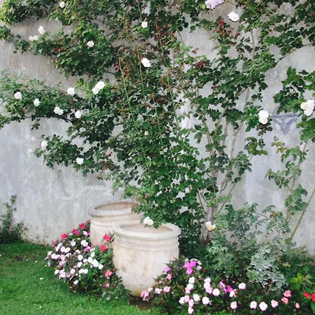 Affittacamere Palazzo Cacace Relais
