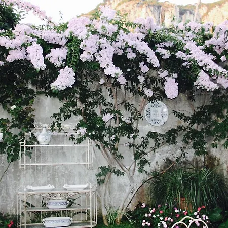 Affittacamere Palazzo Cacace Relais 4*